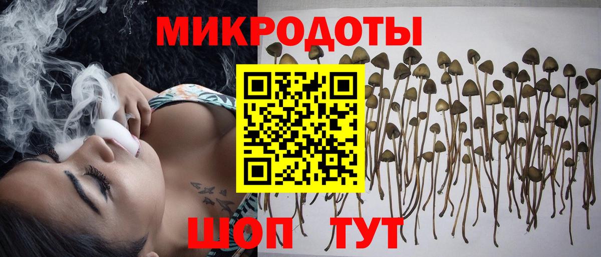 Псилоцибиновые грибы Magic Shrooms  Псилоцибиновые грибы Psilocybe  Вход с VPN  Егорьевск 